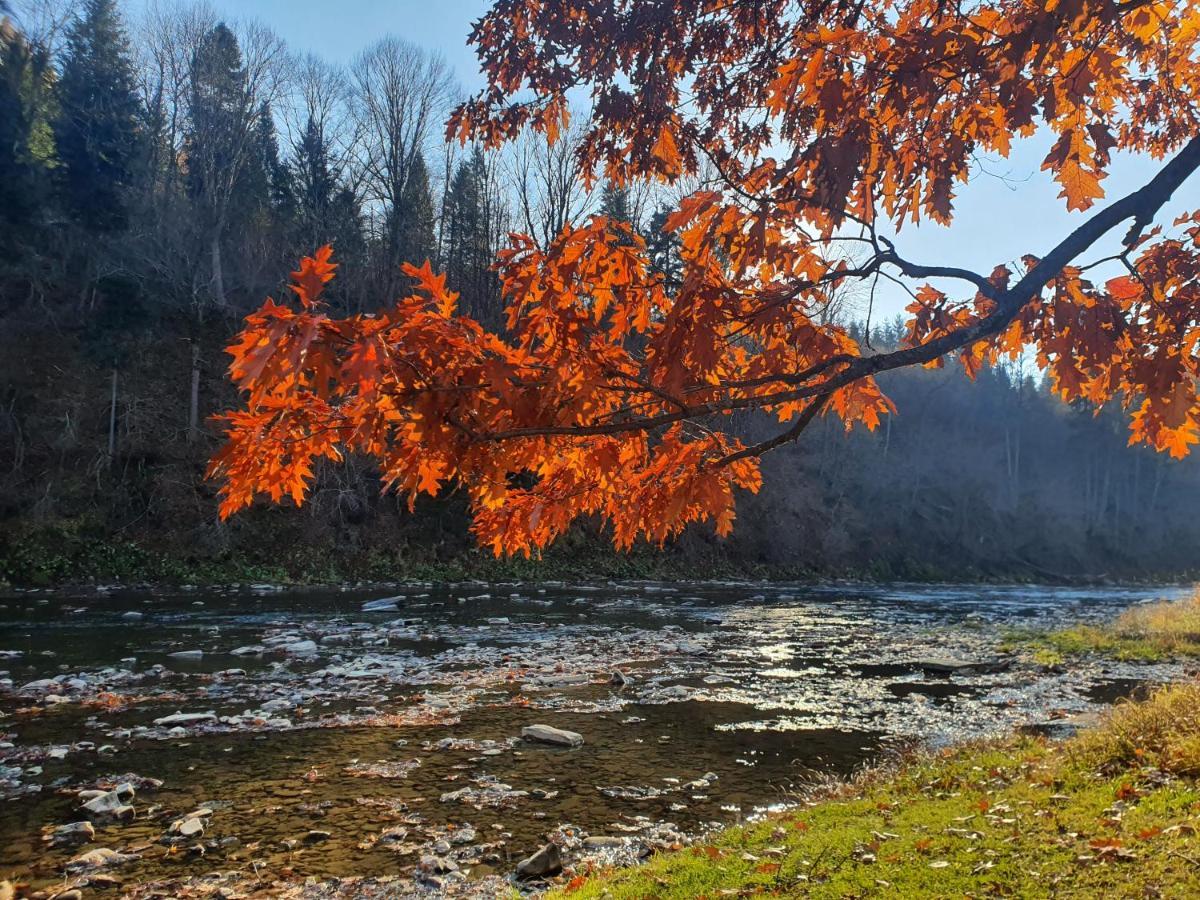 Domki U Gretka Lutowiska Buitenkant foto