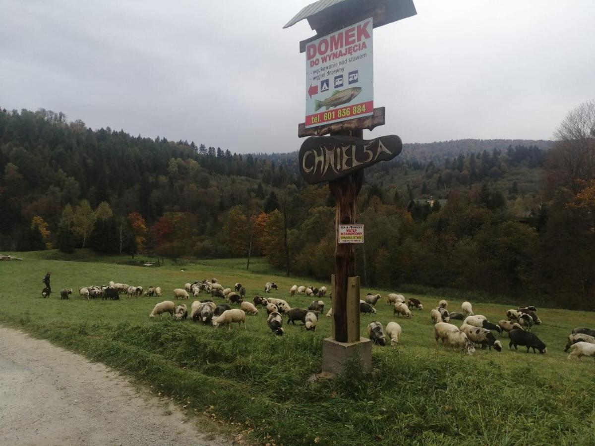 Domki U Gretka Lutowiska Buitenkant foto