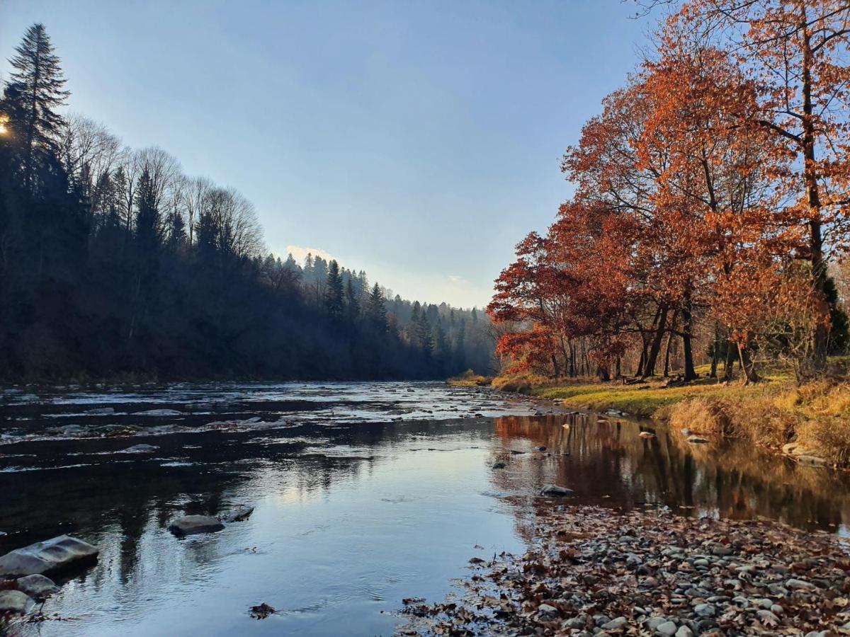 Domki U Gretka Lutowiska Buitenkant foto