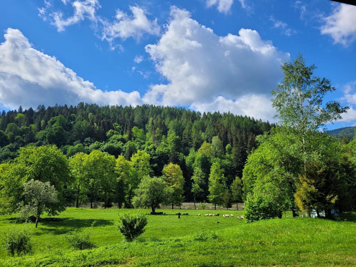 Domki U Gretka Lutowiska Buitenkant foto