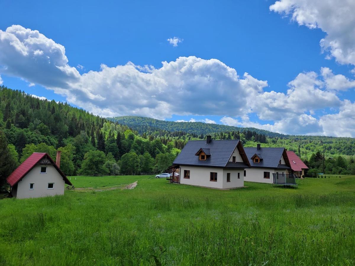 Domki U Gretka Lutowiska Buitenkant foto