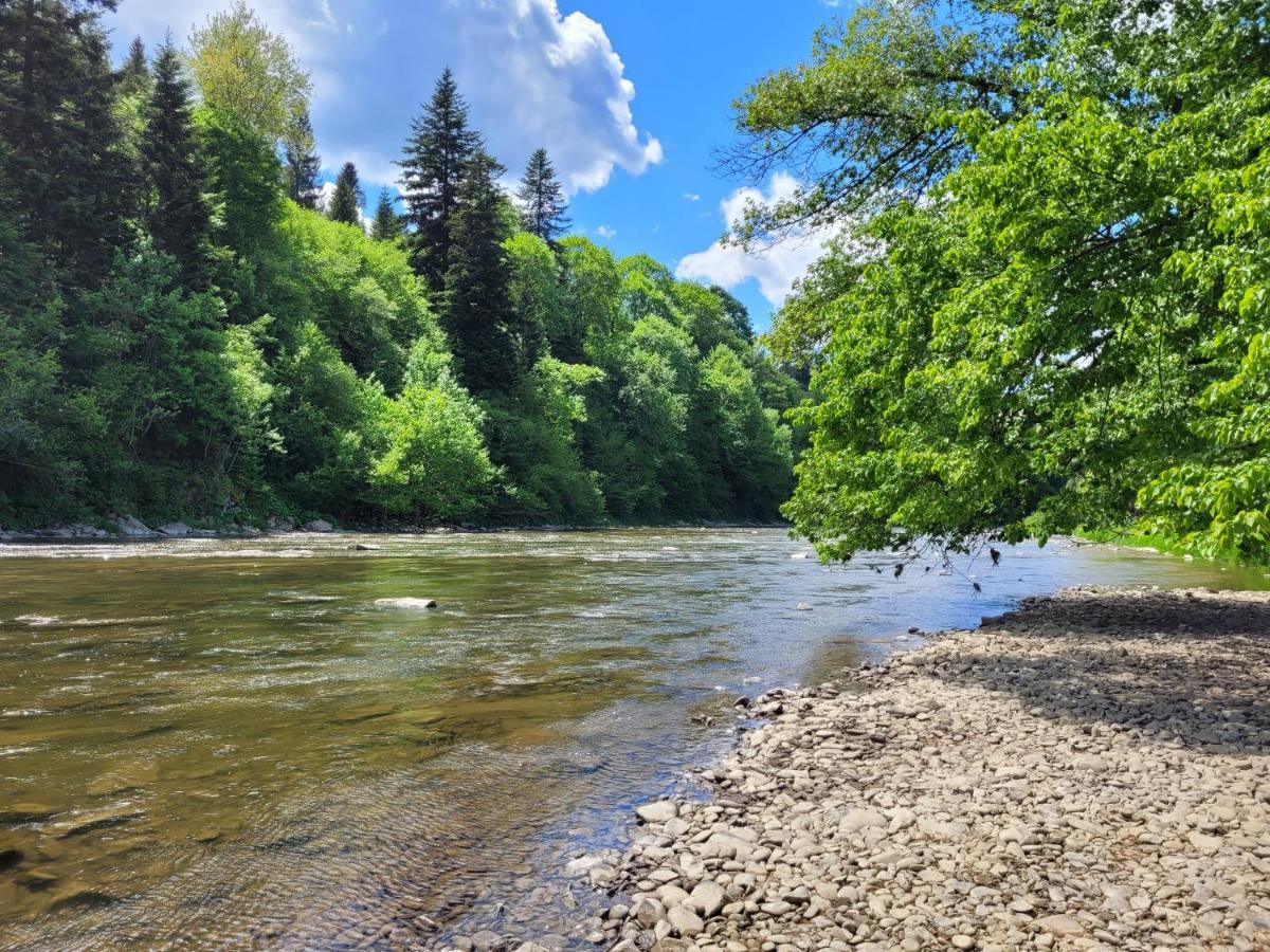 Domki U Gretka Lutowiska Buitenkant foto